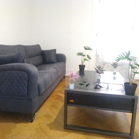 Charming Flat Center And Near The Lake Genève Buitenkant foto
