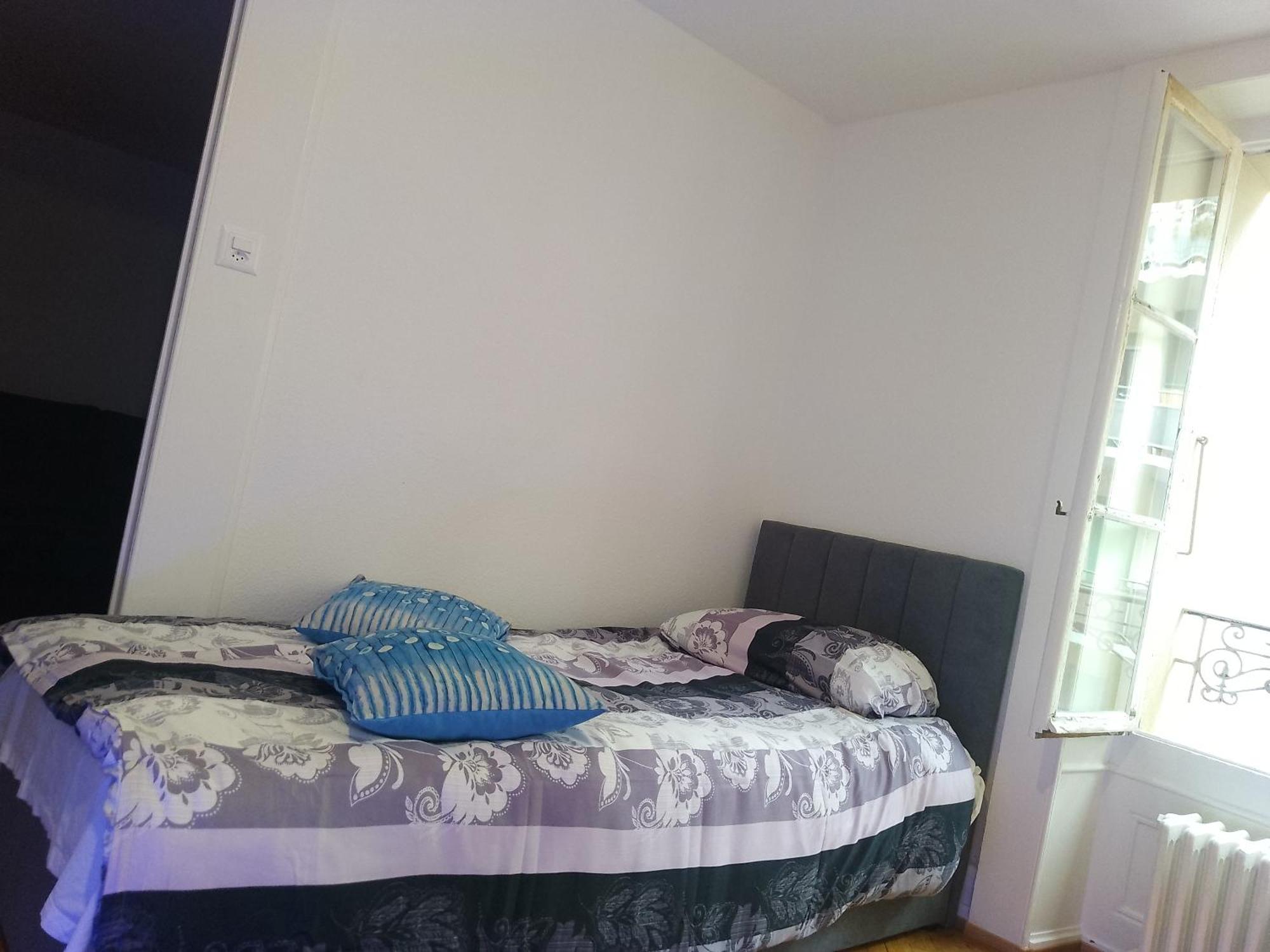 Charming Flat Center And Near The Lake Genève Buitenkant foto