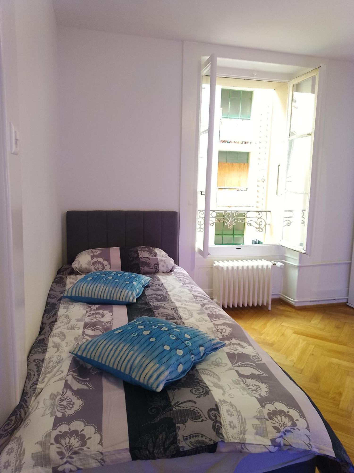 Charming Flat Center And Near The Lake Genève Buitenkant foto